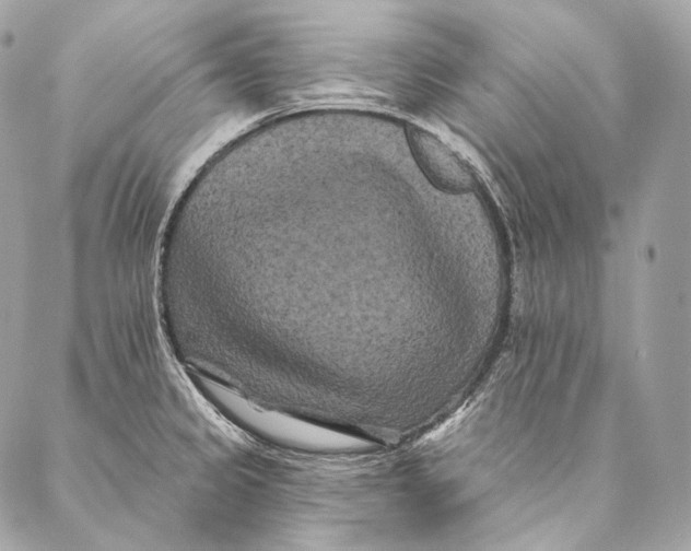 X0000087341333200705111538
