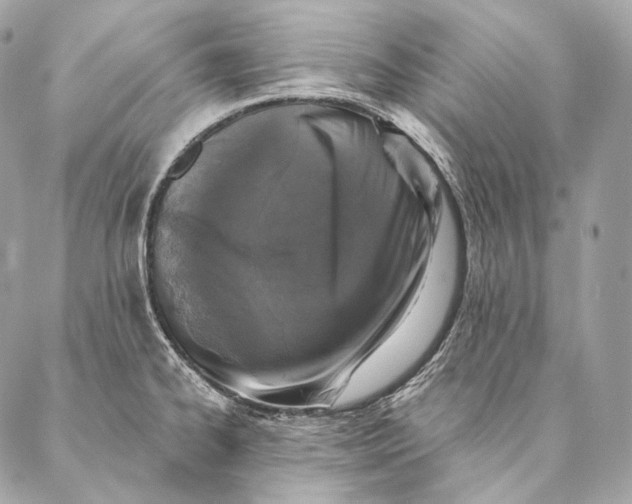 X0000087341334200705111538