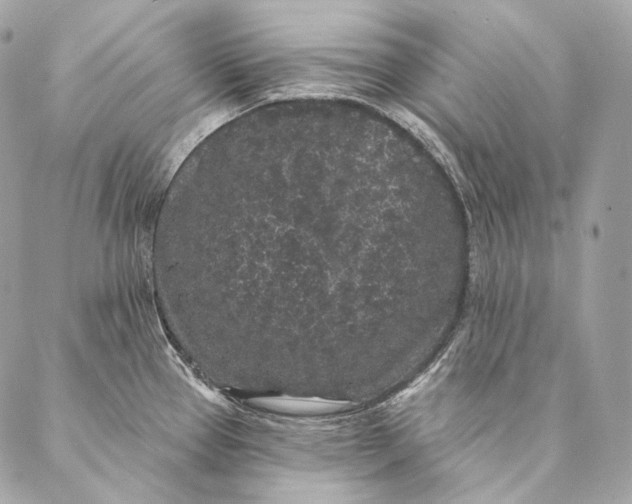 X0000087341337200705111538