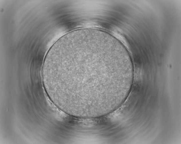 X0000087341338200705111538