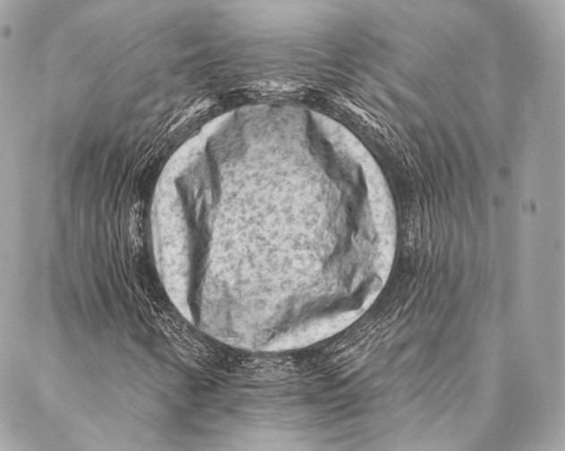 X0000087341346200705111537