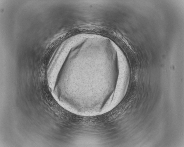 X0000087341350200705111537