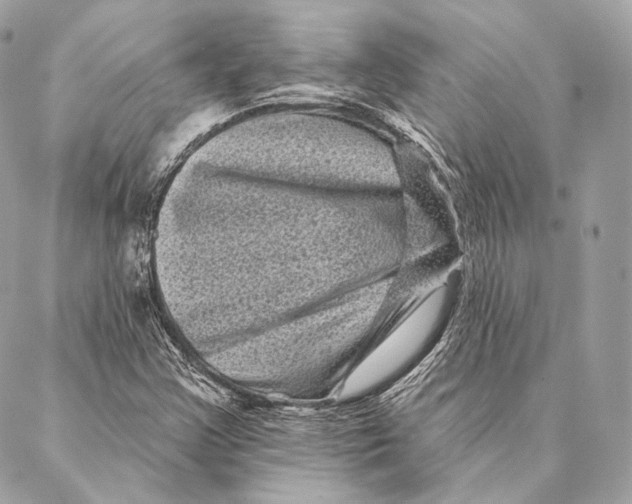 X0000087341355200705111537