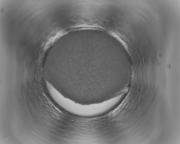 X0000087341357200705111537