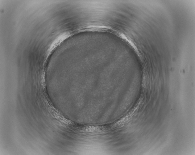 X0000087341362200705111537