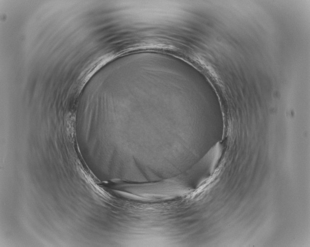 X0000087341369200705111537