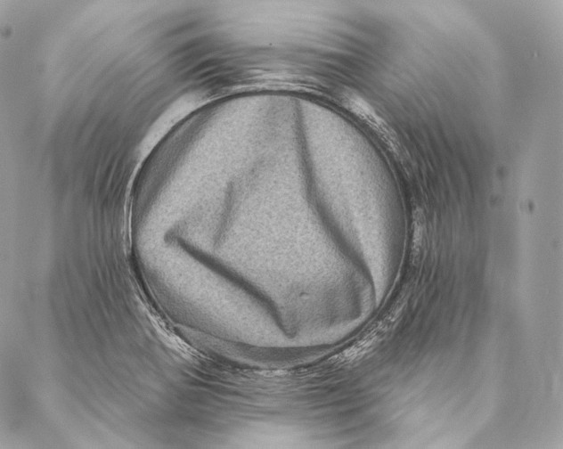 X0000087341370200705111537