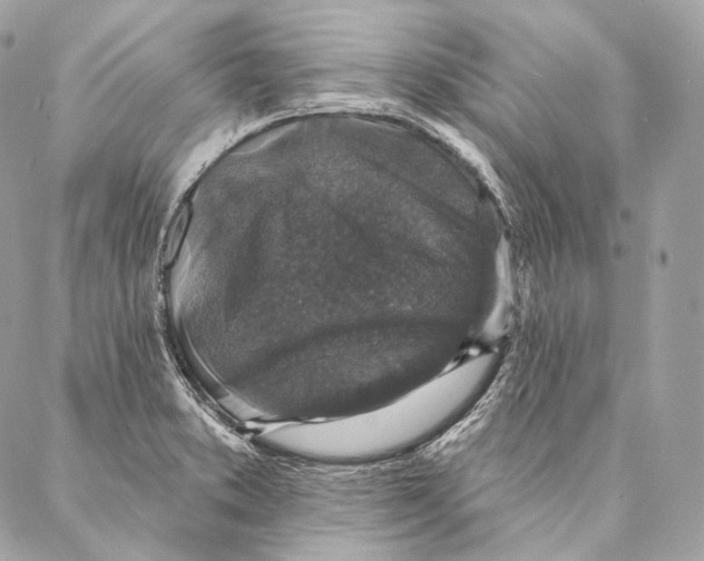 X0000087341373200705111537