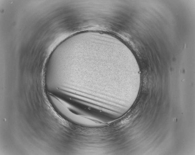 X0000087341375200705111537