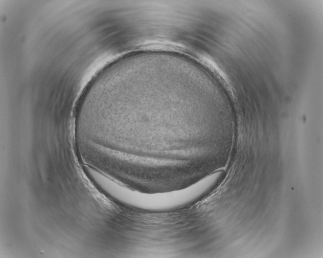 X0000087341376200705111537