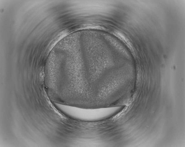 X0000087341377200705111537