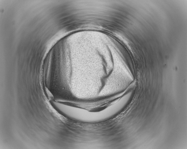 X0000087341379200705111537
