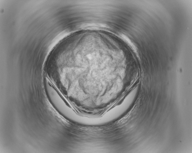 X0000087341384200705111537