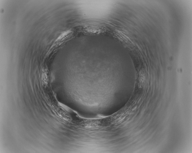 X0000087341394200705111536