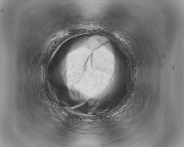 X0000087341398200705111536