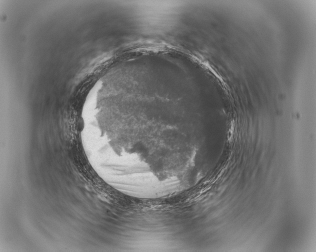 X0000087341399200705111536