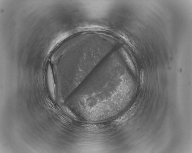 X0000087341405200705111536