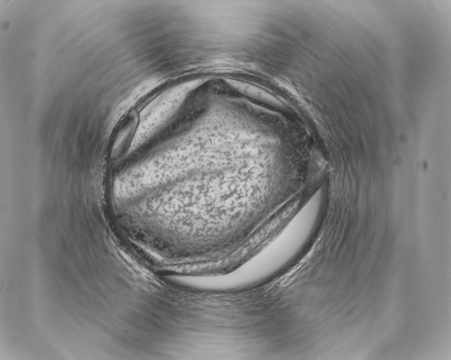 X0000087341410200705111536
