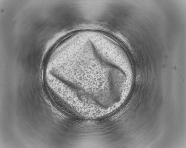 X0000087341414200705111536