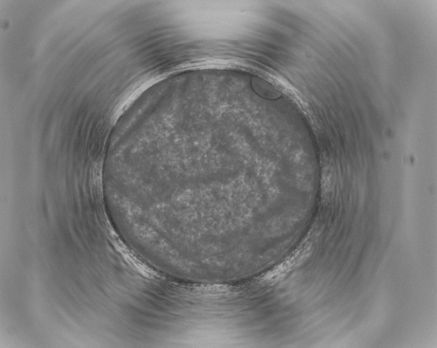 X0000087341417200705111536