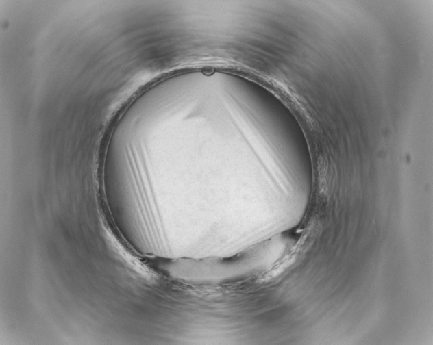 X0000087341422200705111536