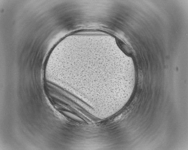 X0000087341424200705111536
