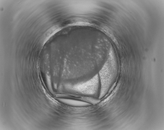 X0000087341425200705111536
