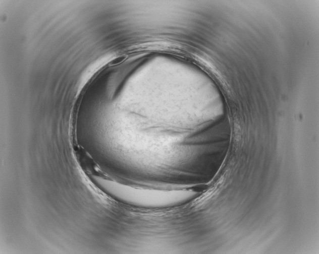 X0000087341426200705111536