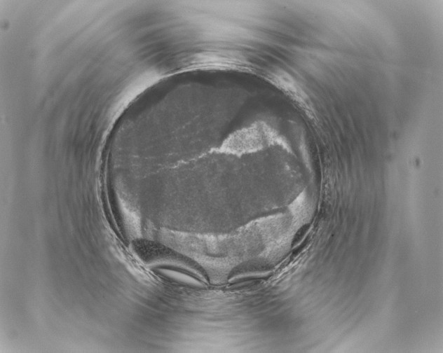X0000087341427200705111536