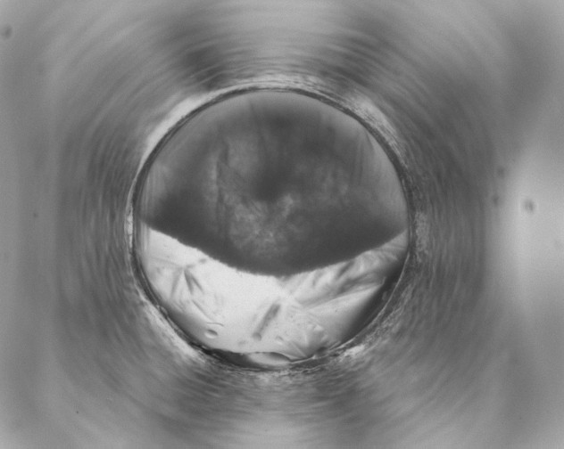 X0000087341428200705111536