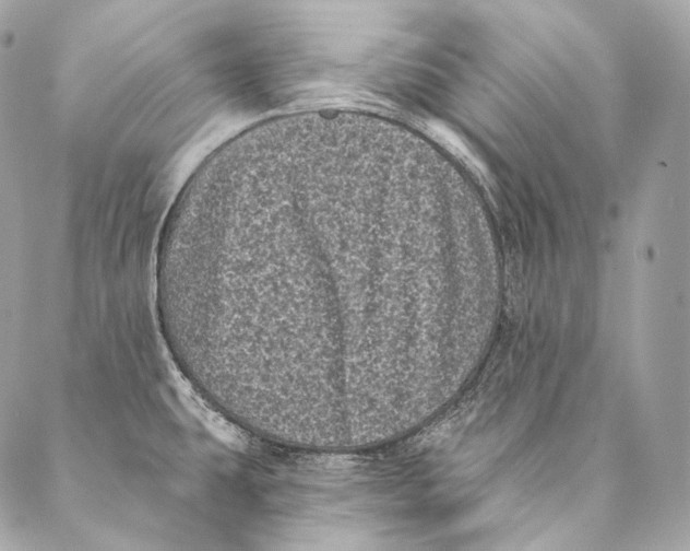X0000087341431200705111536
