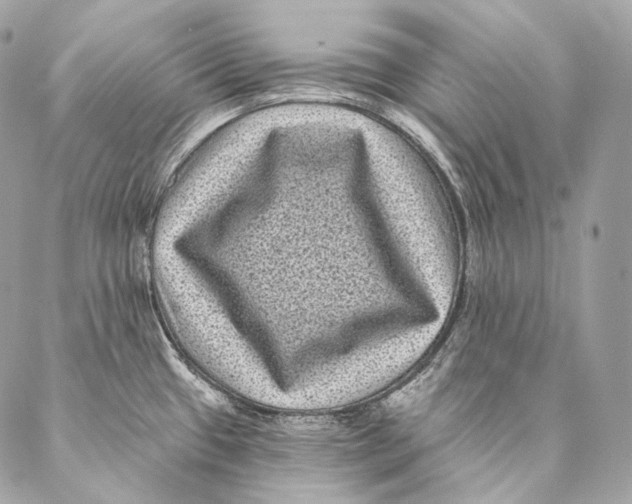 X0000087341433200705111536