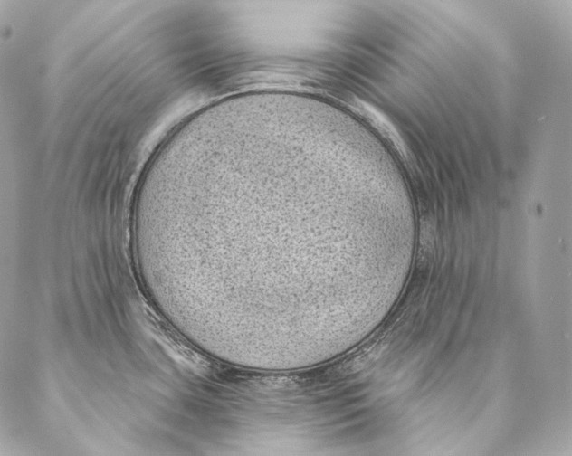 X0000087341435200705111536