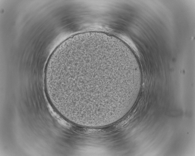X0000087341439200705111537