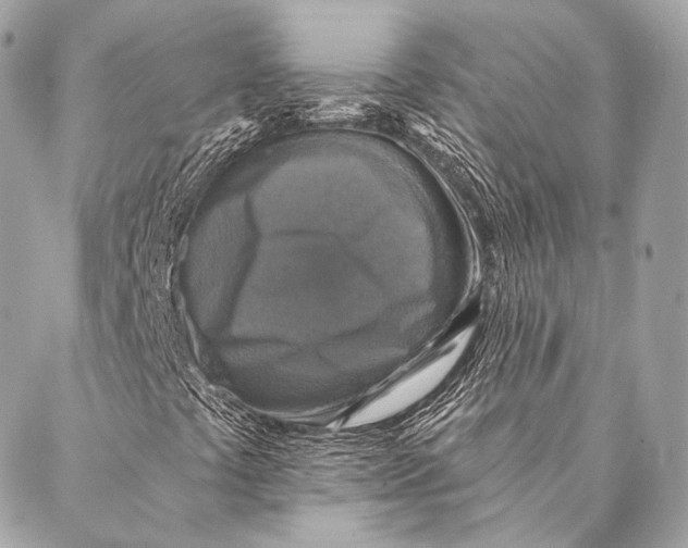 X0000087341441200705111536