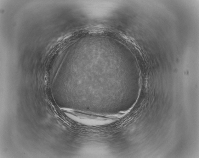 X0000087341445200705111536