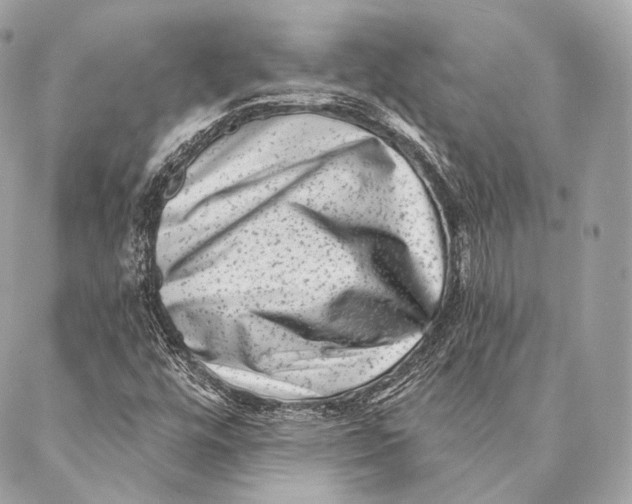 X0000087341448200705111536