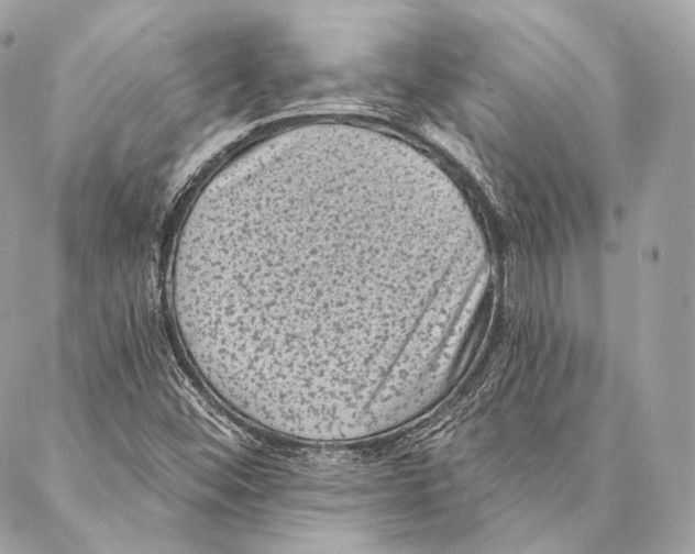 X0000087341452200705111536