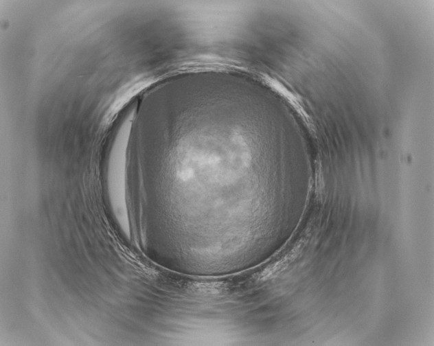X0000087341453200705111536