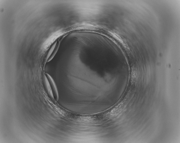 X0000087341455200705111536