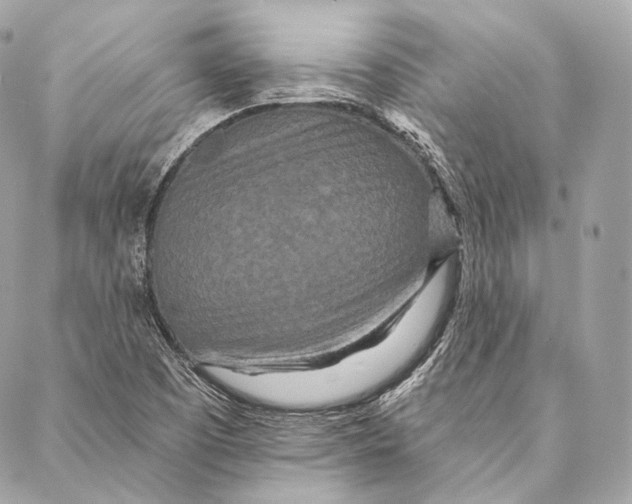 X0000087341457200705111536