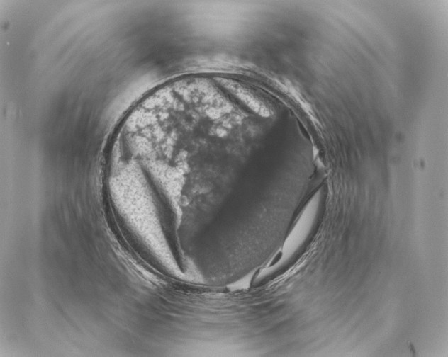 X0000087341463200705111535