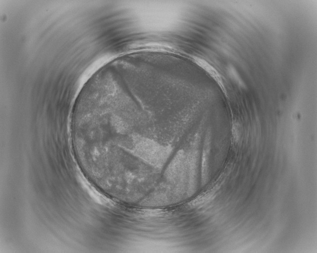 X0000087341482200705111535