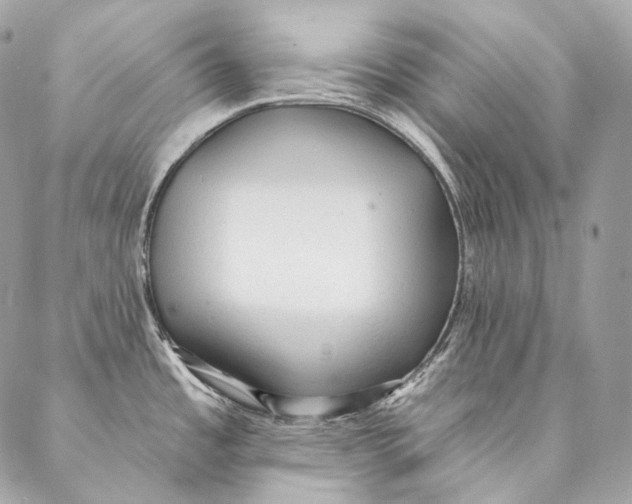 X0000087341485200705111535
