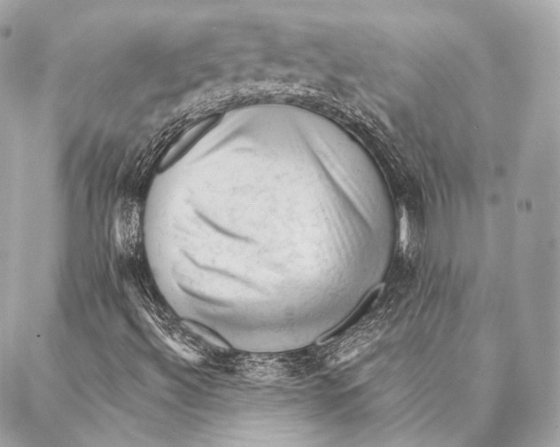 X0000087341492200705111534