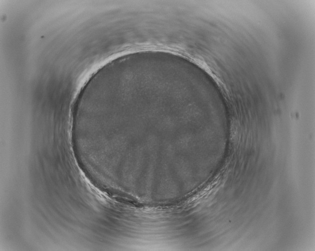 X0000087341508200705111535