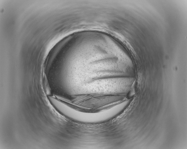 X0000087341520200705111535