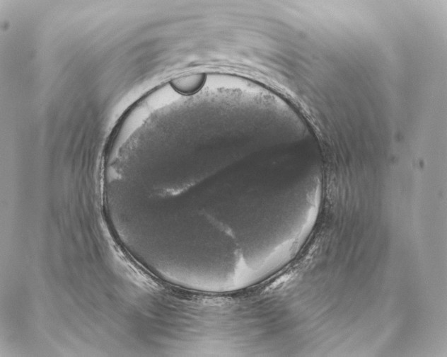 X0000087341522200705111535