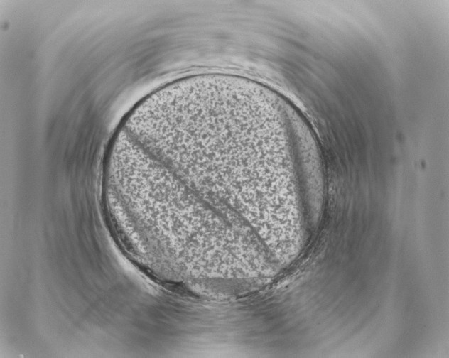 X0000087341523200705111535