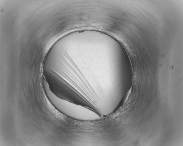 X0000087341524200705111535
